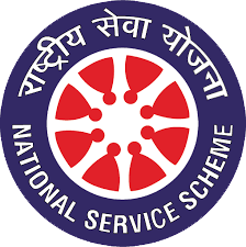 nss logo